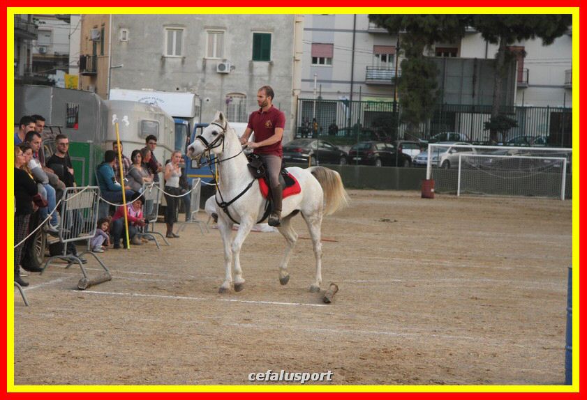 161106 equestre 025_tn.jpg